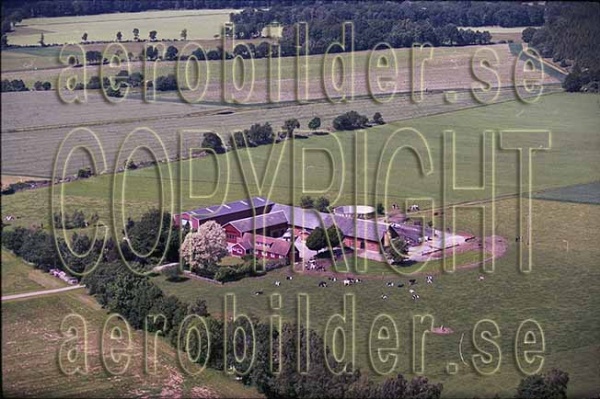 AP 00-202, #17. AP 00-202_0017 (Uppges vid kontakt med Svenska Aero-Bilder AB)