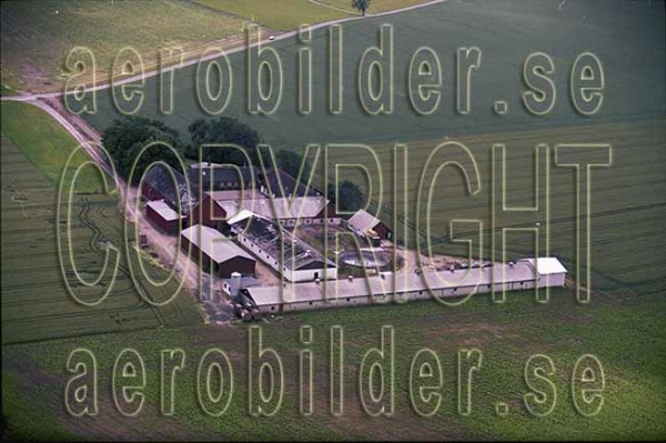 AP 00-203, #15. AP 00-203_0015 (Uppges vid kontakt med Svenska Aero-Bilder AB)