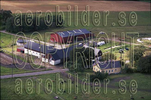 AP 00-215, #31. AP 00-215_0031 (Uppges vid kontakt med Svenska Aero-Bilder AB)