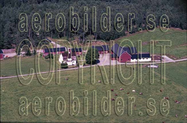 AP 97-011, #35. AP 97-011_0035 (Uppges vid kontakt med Svenska Aero-Bilder AB)