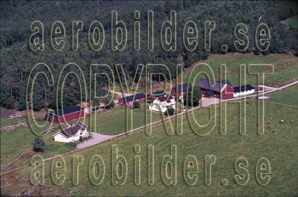 AP 97-011, #36. AP 97-011_0036 (Uppges vid kontakt med Svenska Aero-Bilder AB)