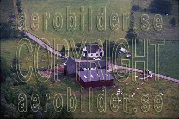 AP 99-209, #36. AP 99-209_0036 (Uppges vid kontakt med Svenska Aero-Bilder AB)