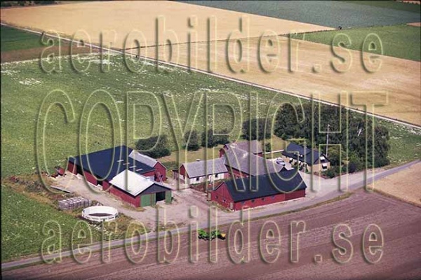 AP 99-217, #21. AP 99-217_0021 (Uppges vid kontakt med Svenska Aero-Bilder AB)