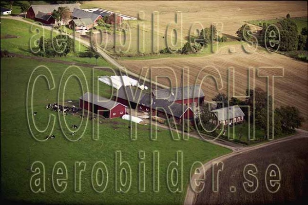 AP 99-220, #4. AP 99-220_0004 (Uppges vid kontakt med Svenska Aero-Bilder AB)