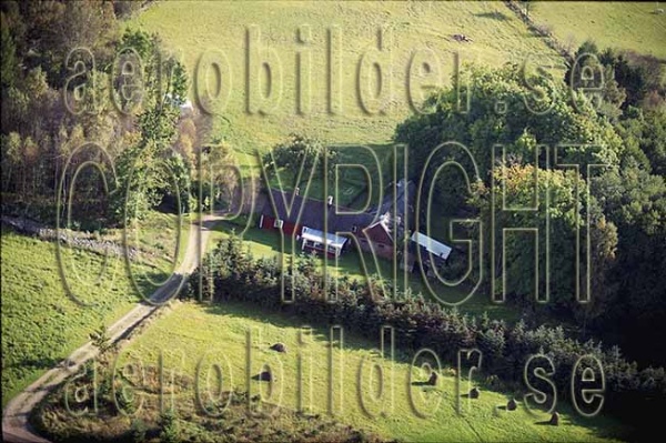 AP 99-223, #17. AP 99-223_0017 (Uppges vid kontakt med Svenska Aero-Bilder AB)