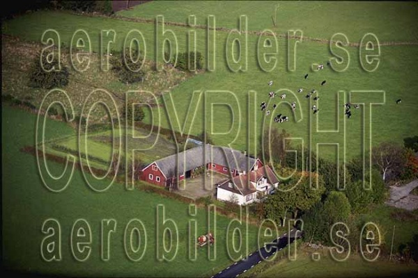 AP 99-223, #27. AP 99-223_0027 (Uppges vid kontakt med Svenska Aero-Bilder AB)