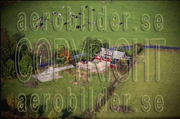 AP 99-223, #28. AP 99-223_0028 (Uppges vid kontakt med Svenska Aero-Bilder AB)