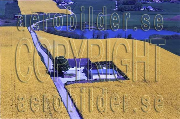 AP S 9165, #25. AP S 9165_0025  (Uppges vid kontakt med Svenska Aero-Bilder AB)