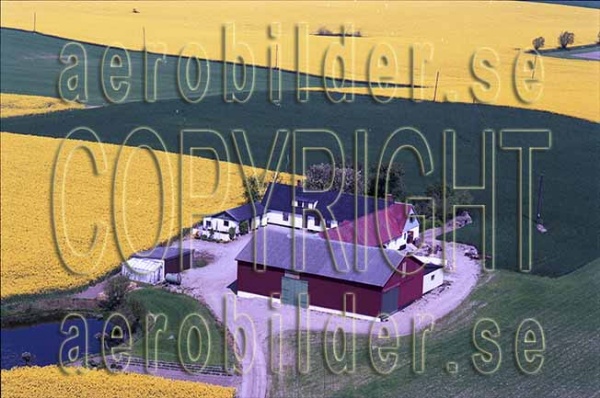 AP S 9167, #1. AP S 9167_0001  (Uppges vid kontakt med Svenska Aero-Bilder AB)