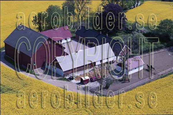 AP S 9168, #29. AP S 9168_0029  (Uppges vid kontakt med Svenska Aero-Bilder AB)