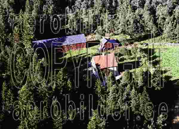 ASA 3617, #39. ASA 3617_0039 (Uppges vid kontakt med Svenska Aero-Bilder AB)