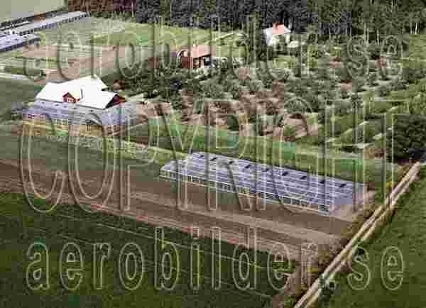 ASA 6776, #21. ASA 6776_0021 (Uppges vid kontakt med Svenska Aero-Bilder AB)