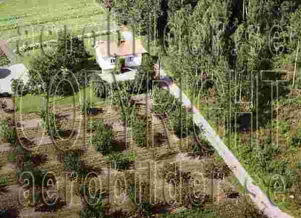 ASA 6776, #23. ASA 6776_0023 (Uppges vid kontakt med Svenska Aero-Bilder AB)