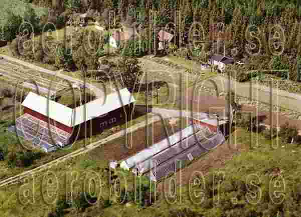 ASA 6776, #36. ASA 6776_0036 (Uppges vid kontakt med Svenska Aero-Bilder AB)