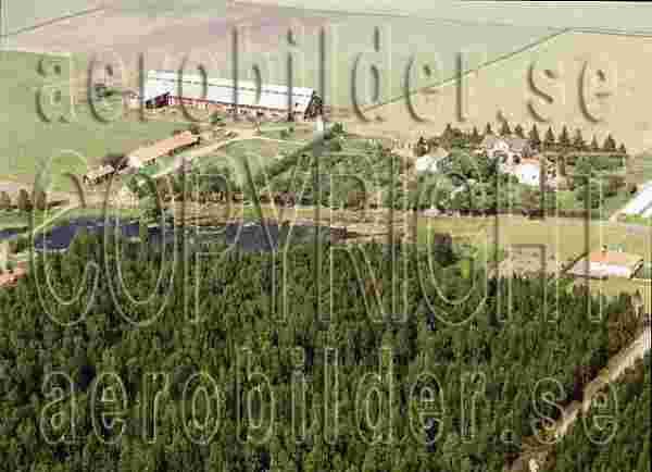 ASA 6776, #44. ASA 6776_0044 (Uppges vid kontakt med Svenska Aero-Bilder AB)