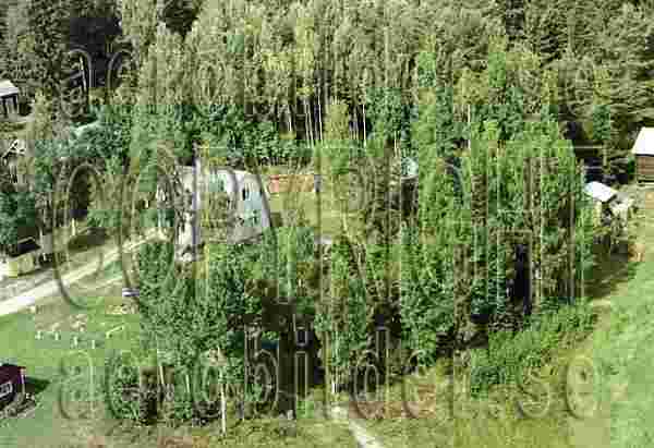 ASA 8506, #4. ASA 8506_0004 (Uppges vid kontakt med Svenska Aero-Bilder AB)