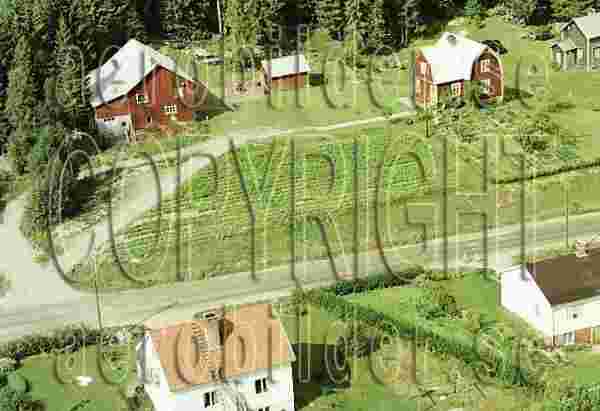 ASA 8506, #40. ASA 8506_0040 (Uppges vid kontakt med Svenska Aero-Bilder AB)