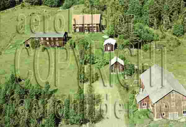 ASA 8506, #41. ASA 8506_0041 (Uppges vid kontakt med Svenska Aero-Bilder AB)