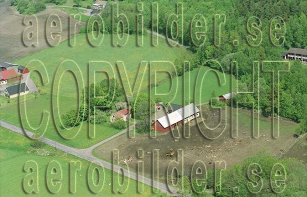 FFF 03028, #31. FFF 03028_0031 (Uppges vid kontakt med Svenska Aero-Bilder AB)