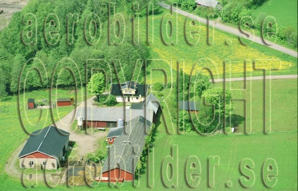 FFF 03029, #3. FFF 03029_0003 (Uppges vid kontakt med Svenska Aero-Bilder AB)