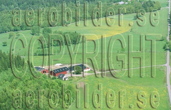 FFF 03029, #31. FFF 03029_0031 (Uppges vid kontakt med Svenska Aero-Bilder AB)