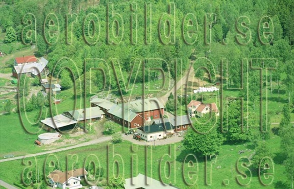 FFF 03036, #9. FFF 03036_0009 (Uppges vid kontakt med Svenska Aero-Bilder AB)