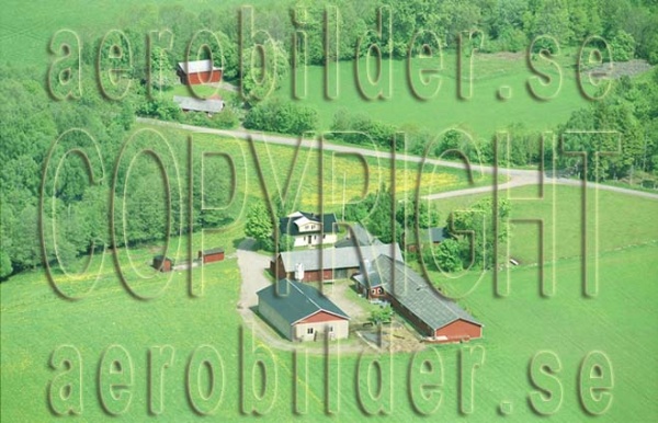 FFF 03036, #21. FFF 03036_0021 (Uppges vid kontakt med Svenska Aero-Bilder AB)