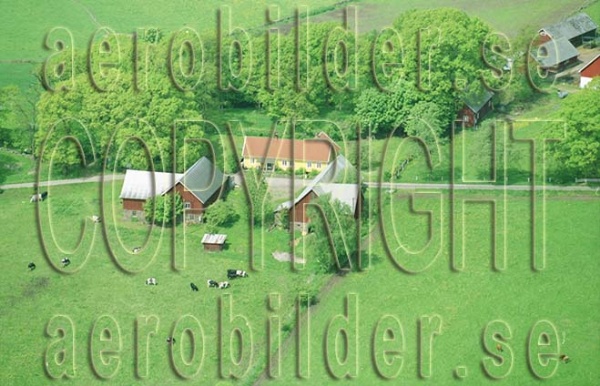 FFF 03036, #29. FFF 03036_0029 (Uppges vid kontakt med Svenska Aero-Bilder AB)