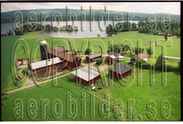 FFF 98-8907, #5. FFF 98-8907_0005 (Uppges vid kontakt med Svenska Aero-Bilder AB)