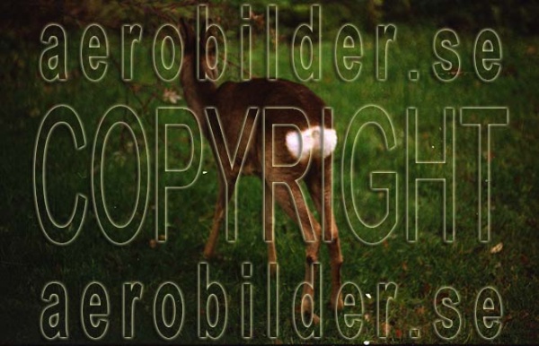 FFF 99-5452, #6. FFF 99-5452_0006 (Uppges vid kontakt med Svenska Aero-Bilder AB)