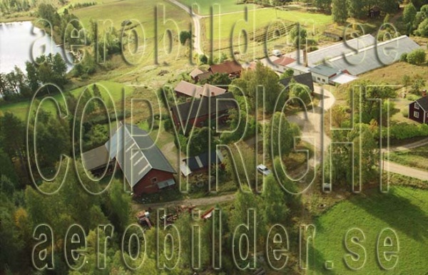 FFF 99-8292, #3. FFF 99-8292_0003 (Uppges vid kontakt med Svenska Aero-Bilder AB)