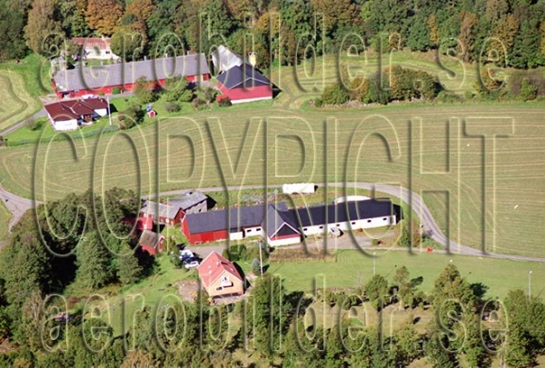 FFKV 04-098, #11. FFKV 04-098_0011 (Uppges vid kontakt med Svenska Aero-Bilder AB)