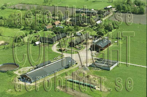 FFKV 10-026, #6. FFKV 10-026_006 (Uppges vid kontakt med Svenska Aero-Bilder AB)