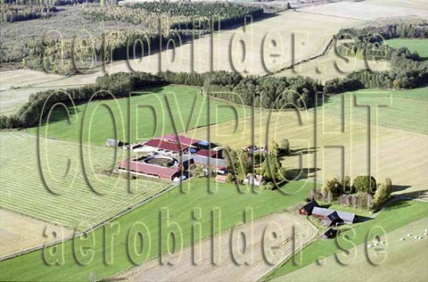 FFKV 11-098, #8. FFKV 11-098_008 (Uppges vid kontakt med Svenska Aero-Bilder AB)